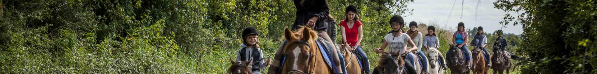 Promenades à cheval et à poney à Cabourg